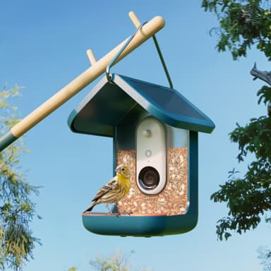 Bird Buddy solcellsdriven fågelmatare med kamera (blå)