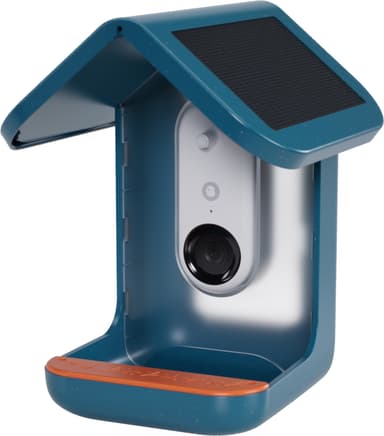 Bird Buddy solcellsdriven fågelmatare med kamera (blå)
