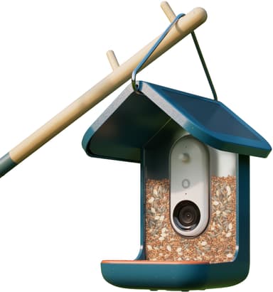 Bird Buddy solcellsdriven fågelmatare med kamera (blå)