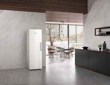 Miele Frysskåp FNS4382DN (vit)