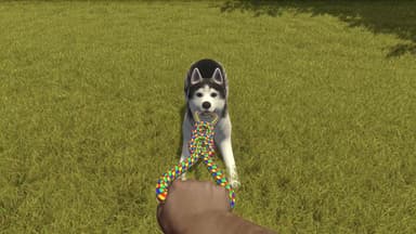House Flipper - Pets Edition Nintendo Switch