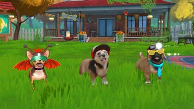 Little Friends: Puppy Island SWITCH