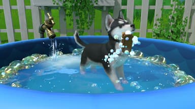 Little Friends: Puppy Island SWITCH