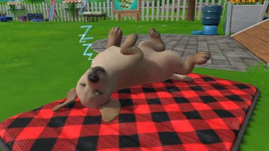 Little Friends: Puppy Island SWITCH