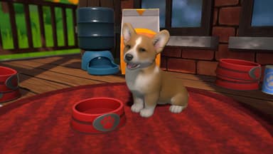 Little Friends: Puppy Island SWITCH