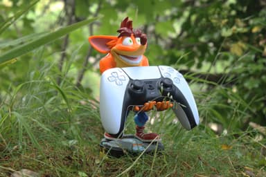 CRASH BANDICOOT (QUANTUM) CABLE GUY