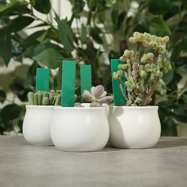 Vattentåliga växtetiketter / plantskyltar med hål PVC 100-pack Grön
