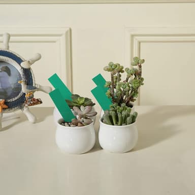 Vattentåliga växtetiketter / plantskyltar med hål PVC 100-pack Grön