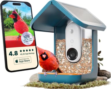 Bird Buddy solcellsdriven fågelmatare med kamera (blå)