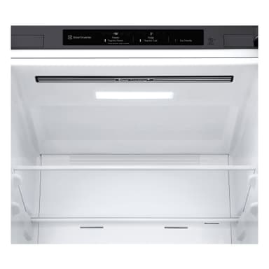 LG Kyl/Frys GBP62DSNGN (rostfri)