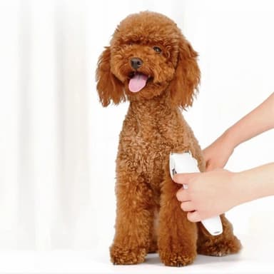 XIAOMI Pawbby Elektrisk Rakapparat Trimmer För Husdjur Hund