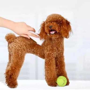 XIAOMI Pawbby Elektrisk Rakapparat Trimmer För Husdjur Hund