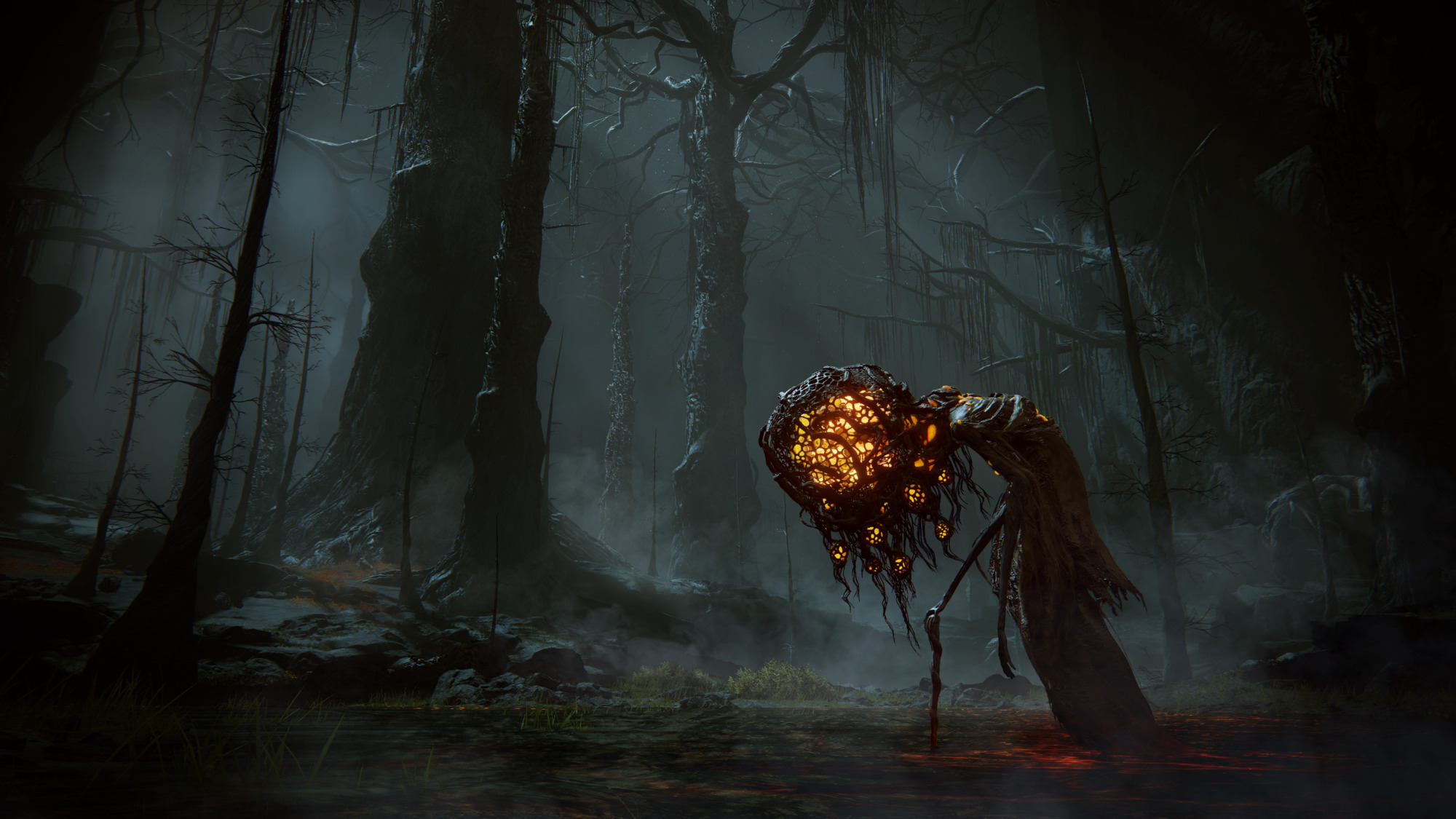 ELDEN RING Shadow of the Erdtree Edition - PC Windows