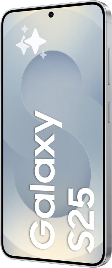 Samsung Galaxy S25 5G smartphone 12/256GB (Silver Shadow)