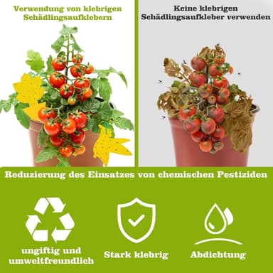 Klibbig fälla mot bananflugor och skadedjur på krukväxter 60-pack Gul