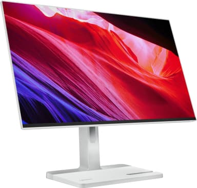 Lenovo L24m-4A 23.8" IPS-bildskärm
