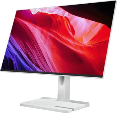 Lenovo L24m-4A 23.8" IPS-bildskärm