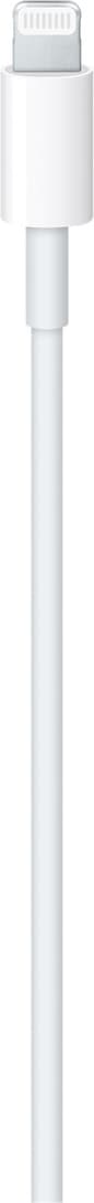 Apple USB-C till Lightning kabel  (2m)