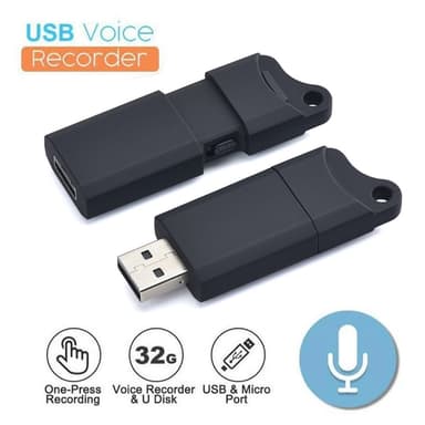 Mini Diktafon Brusreducering Smart Audio Recorder USB-inspelning