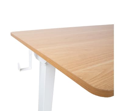 Skrivbord ERGO med 1 motor 120x60xH73-121cm, vit/ek