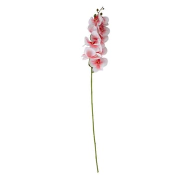 Konstgjord blomma BLOMMANDE H96cm, magnoolia, mix