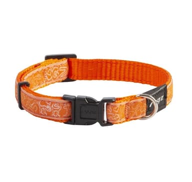 Hundhalsband jelly beam krage orange doodle 11mm/20-31cm, Rogz