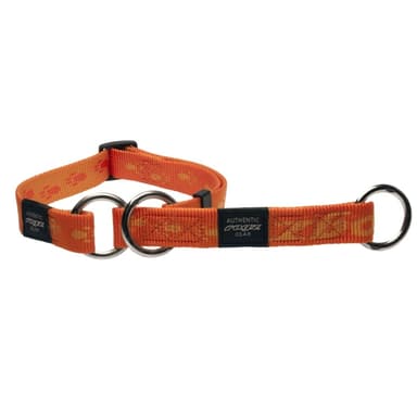 Alpinist extra stor 25 mm everest webb halvrutigt hundhalsband, orange rogz design, Rogz