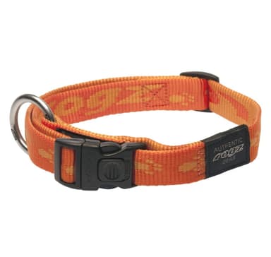 Alpinist stort 20mm K2 hundhalsband, orange design, Rogz