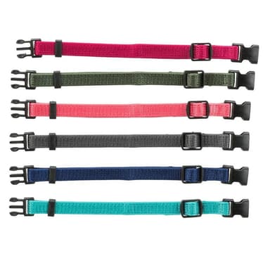 Junioruppsättning valphalsband, s–m: 17–25 cm/10 mm, fuchsia, grafit, indigo, skog, korall, hav, Trixie