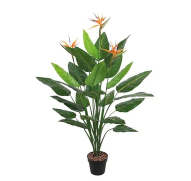 Grön växt FÅGEL PARADIS H150cm