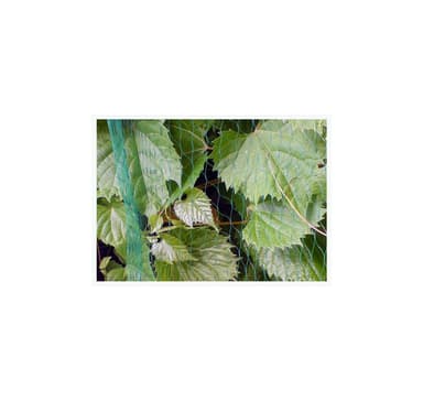 BIRD NET 7g/m2   19x19mm 3x5m