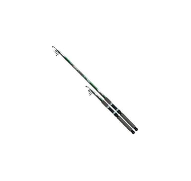 Teleskopisk spinnspö SWD Bull-Paul 3,0m 30-60g