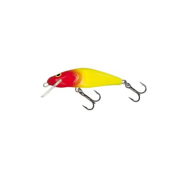 Lure Bullhead 6F 6cm/6g/1,0-1,5m CLO