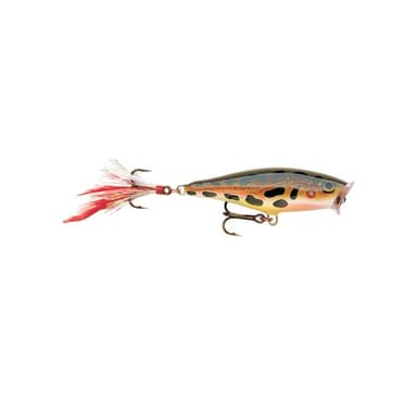 Lure Skitter Pop 7cm/7g F