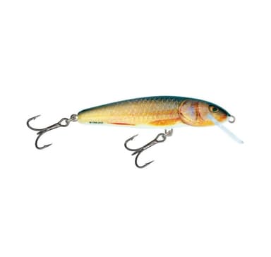 Lure Minnow 7F 7cm/6g/1,0-1,5m RR