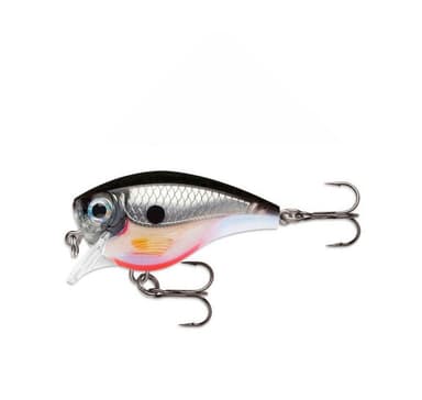 Lure BX Mid Brat 6cm/13g/1,8m S