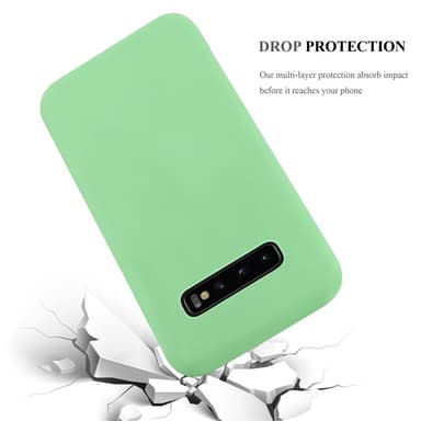 Skal Samsung Galaxy S10 PLUS Fodral Case (Grön)