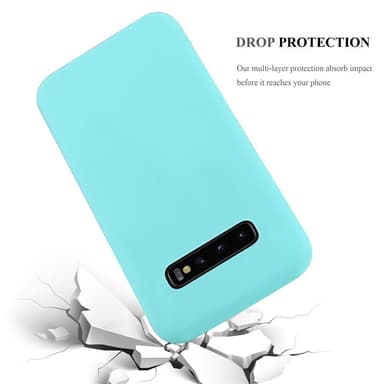 Skal Samsung Galaxy S10 PLUS Fodral Case (Blå)