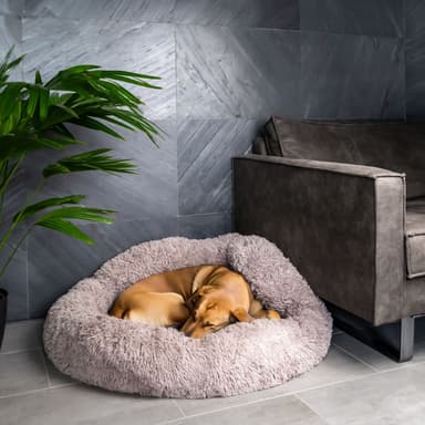 Hundbädd Kattbäddskudde Hund Katt Soffa 100cm (beige)