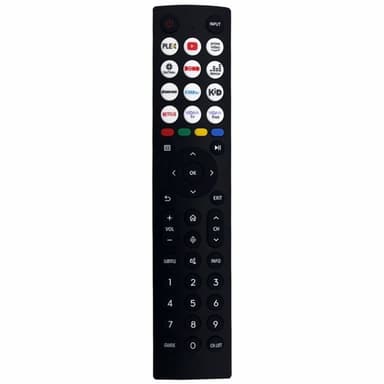 TV fjärrkontroll Ersättning för ERF2I36H För Hisense TV