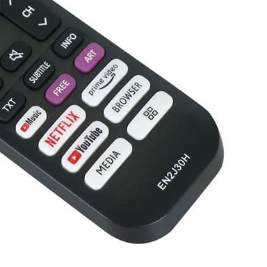TV fjärrkontroll Ersättning för EN2J30H För Hisense TV