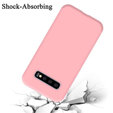 Samsung Galaxy S10 PLUS Skal Fodral Case (Rosa)