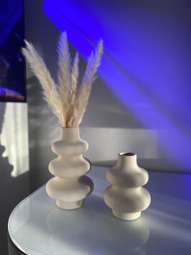 30x Pampasgräs Deco anläggning Naturlig torkad blomma