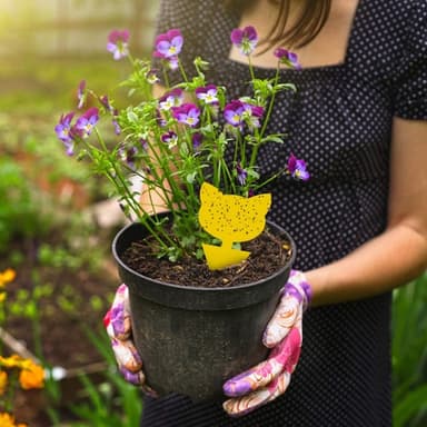 60-pack Flugfångare / Flugfälla / Klibbig insektsfälla Gul