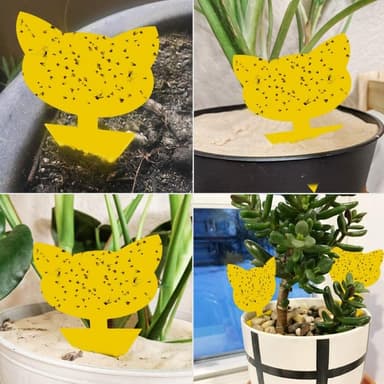 60-pack Flugfångare / Flugfälla / Klibbig insektsfälla Gul