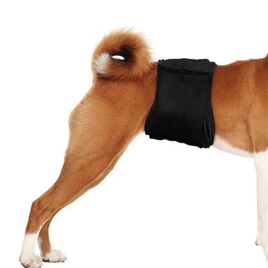 Bekväm och tvättbar hundblöja Svart XL
