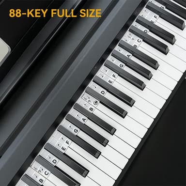 Avtagbara piano och keyboard etiketter 88 tangenter Vit