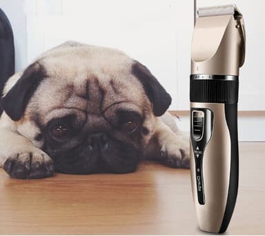 Tyst hundtrimmer med tillbehör Champagne