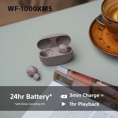 Sony WF1000XM5P true wireless in-ear hörlurar (smoky pink)