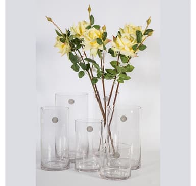 Vas IN HOME D12xH30cm, klart glas
